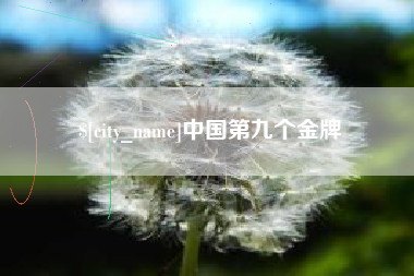 偃师中国第九个金牌