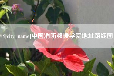 偃师中国消防救援学院地址路线图