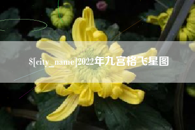 偃师2022年九宫格飞星图