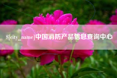 偃师中国消防产品信息查询中心