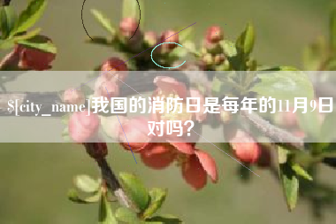 偃师我国的消防日是每年的11月9日对吗？