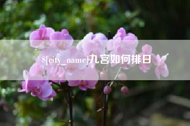 偃师九宫如何排日