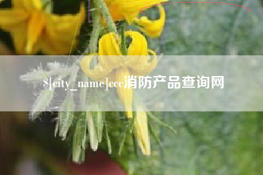 偃师ccc消防产品查询网