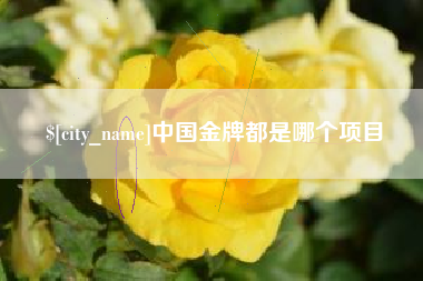 偃师中国金牌都是哪个项目