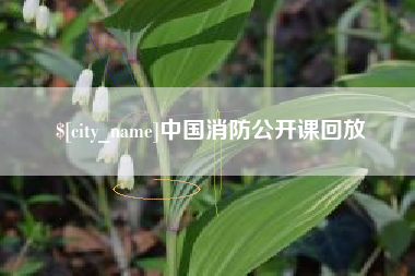 偃师中国消防公开课回放