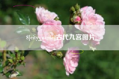 偃师古代九宫图片