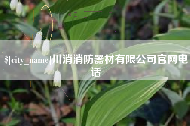 偃师川消消防器材有限公司官网电话