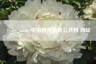 偃师中国执行信息公开网 网址