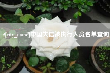偃师中国失信被执行人员名单查询