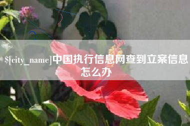 偃师中国执行信息网查到立案信息怎么办