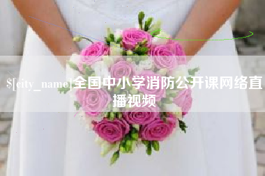 偃师全国中小学消防公开课网络直播视频