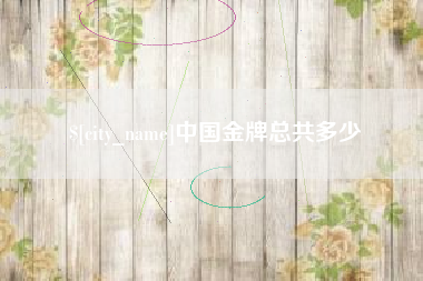 偃师中国金牌总共多少
