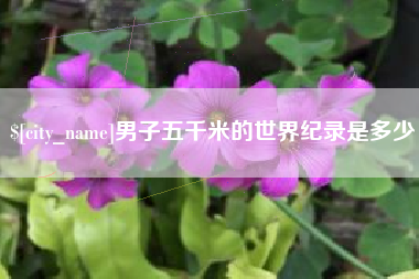 偃师男子五千米的世界纪录是多少