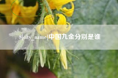 偃师中国九金分别是谁