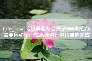 偃师哈尔滨亚冬会男子5000米接力-需要运动员们在高速滑行中精准地完成