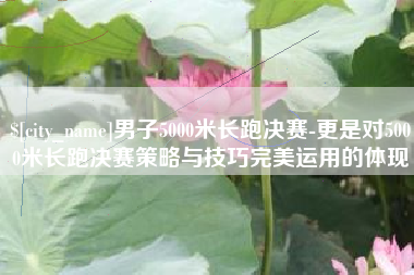 偃师男子5000米长跑决赛-更是对5000米长跑决赛策略与技巧完美运用的体现