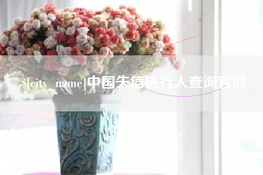 偃师中国失信执行人查询官网