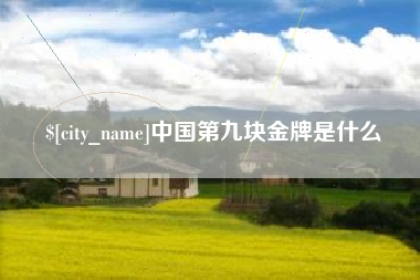 偃师中国第九块金牌是什么