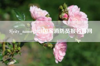 偃师2021国家消防员报名官网