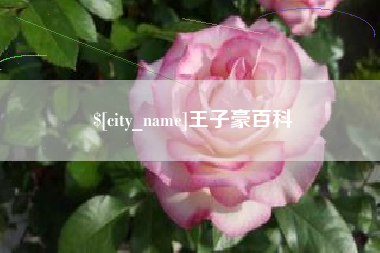 偃师王子豪百科