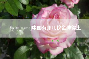 偃师中国有哪几枚金牌得主
