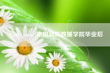 偃师中国消防救援学院毕业后