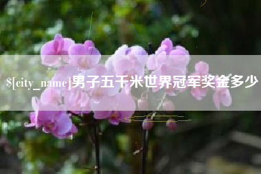 偃师男子五千米世界冠军奖金多少