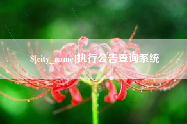 偃师执行公告查询系统