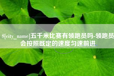 偃师五千米比赛有领跑员吗-领跑员会按照既定的速度匀速前进