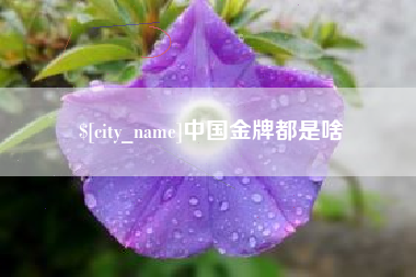 偃师中国金牌都是啥
