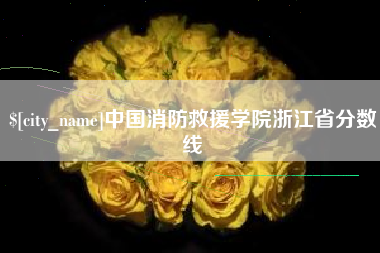 偃师中国消防救援学院浙江省分数线