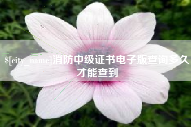 偃师消防中级证书电子版查询多久才能查到