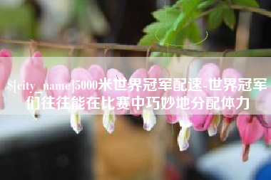 偃师5000米世界冠军配速-世界冠军们往往能在比赛中巧妙地分配体力