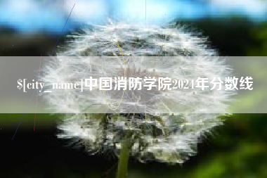 偃师中国消防学院2024年分数线
