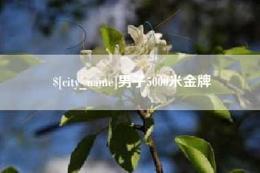 偃师男子5000米金牌