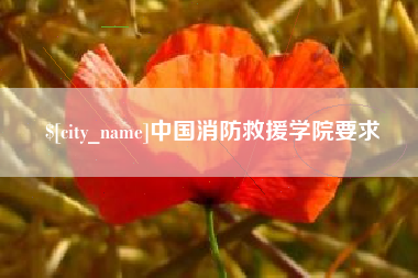 偃师中国消防救援学院要求