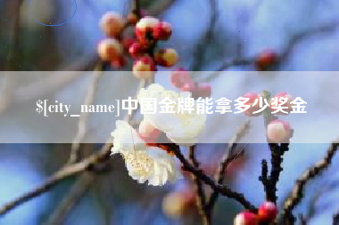 偃师中国金牌能拿多少奖金
