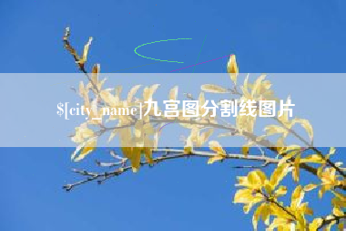 偃师九宫图分割线图片