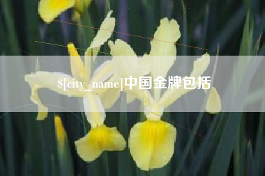偃师中国金牌包括