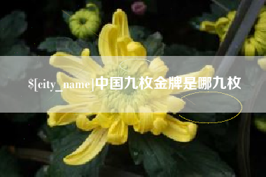 偃师中国九枚金牌是哪九枚