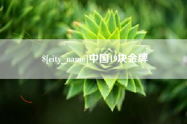 偃师中国19块金牌