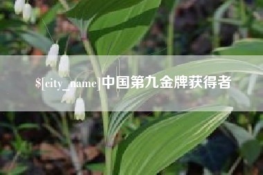 偃师中国第九金牌获得者