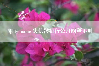 偃师失信被执行公开网查不到