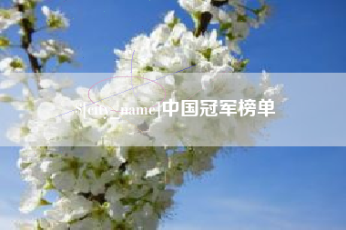 偃师中国冠军榜单