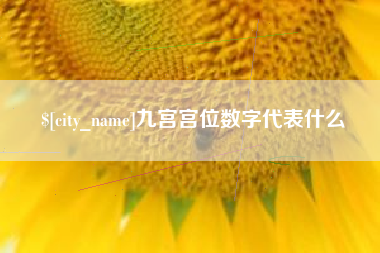 偃师九宫宫位数字代表什么