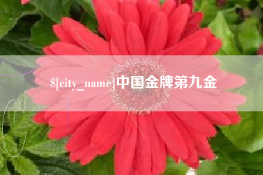 偃师中国金牌第九金