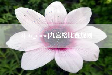 偃师九宫格比赛规则