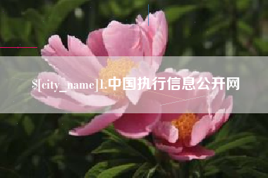 偃师1.中国执行信息公开网