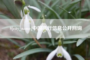 偃师中国执行信息公开网询