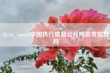 偃师中国执行信息公开网会发信息吗